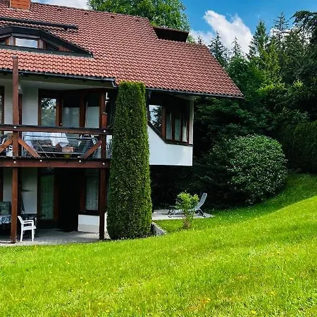 Michels Apartment Titisee-Neustadt Zewnętrze zdjęcie